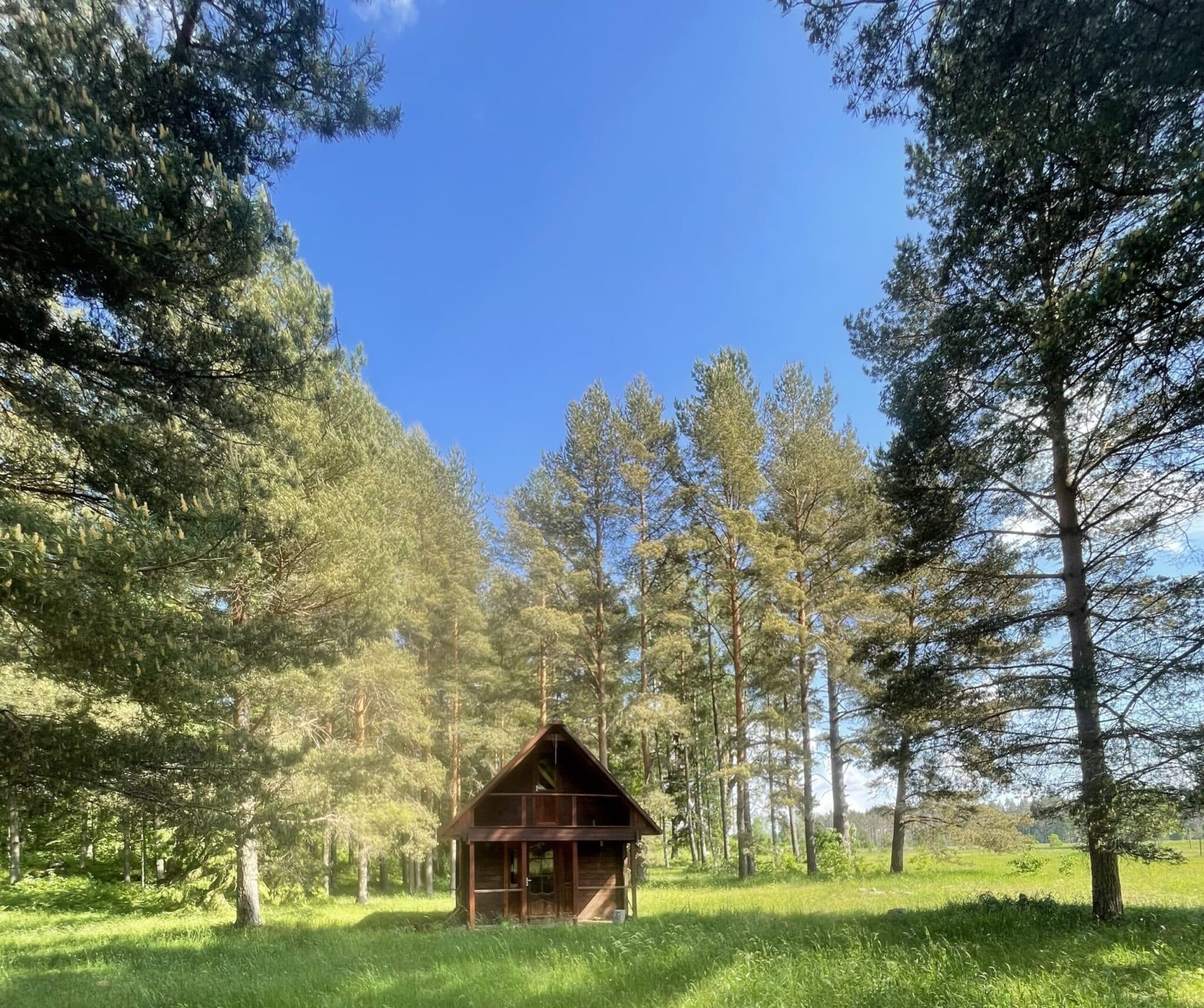 large hut in woods in a field