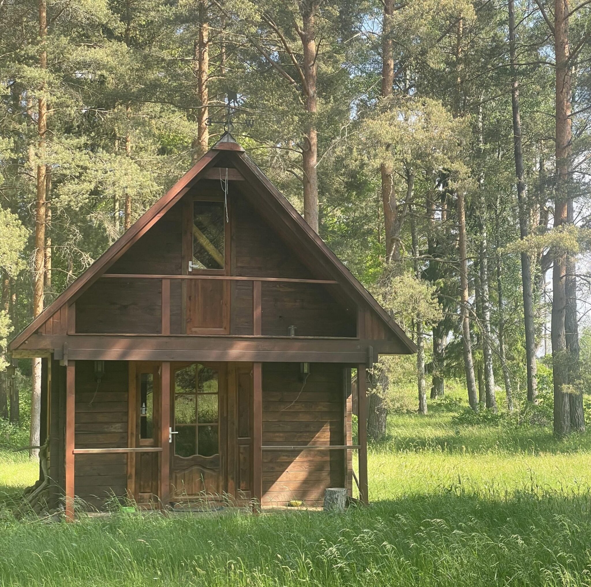 large hut in the woods